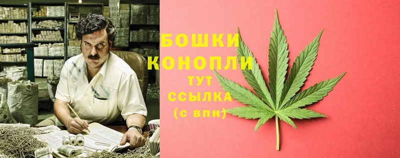 Бошки марихуана Ganja  Зуевка 